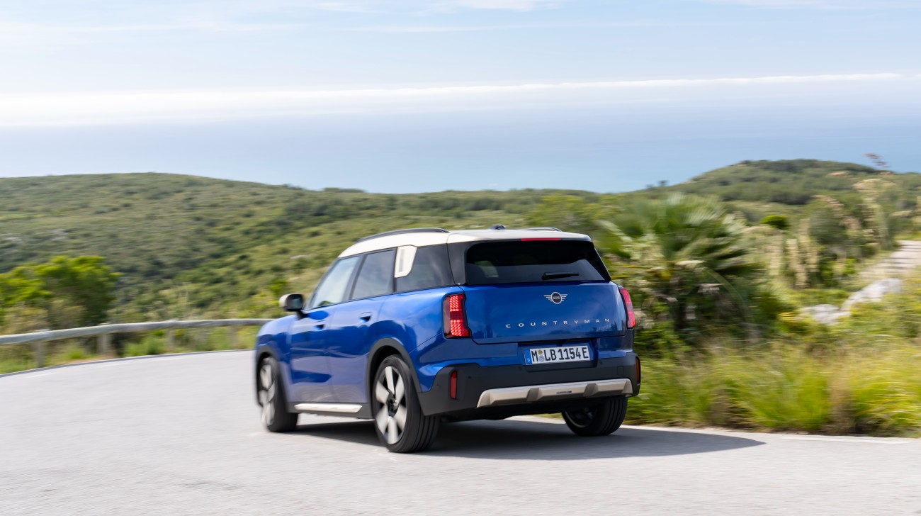 Countryman Electric Rearjpg